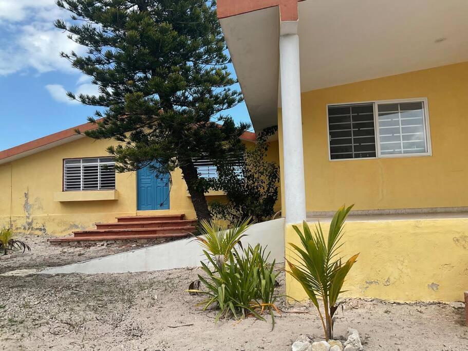 Villa La Casa Amarilla Frente Al Mar Chelem Exterior foto